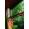 Klikn�te pro zv�t�en�